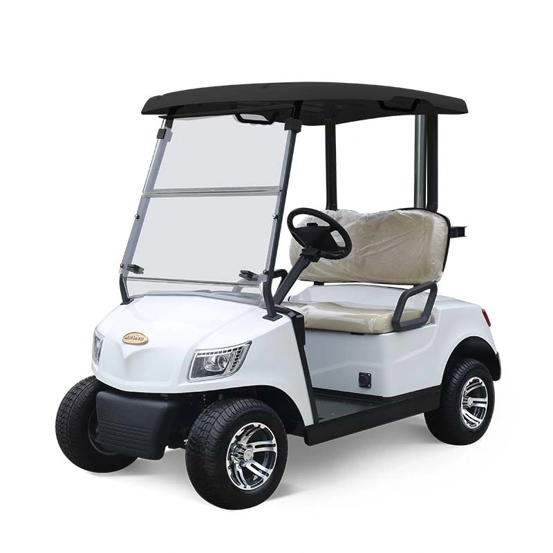 Marshell CE Approved Golf Buggy Electric Golf Carts New Model Golf Cart for Sale (DG-M2)