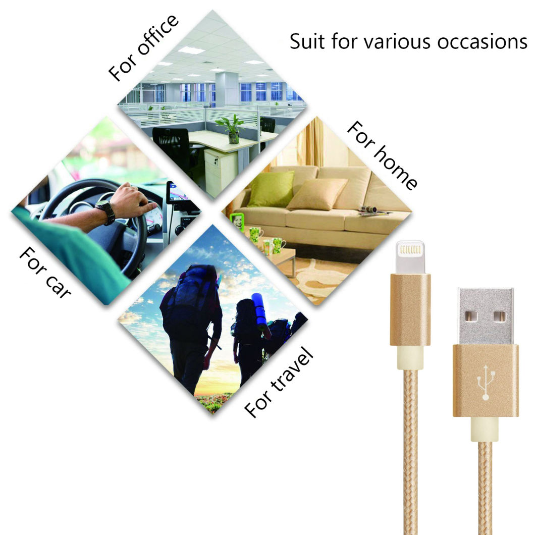 USB Cable for iPhone/iPad Fast Charging Braided Charger Mobile Phone Cable Data Line -Gold