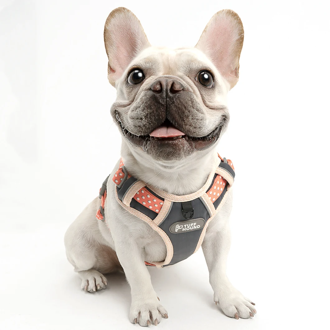 Wholesale OEM Dog Harness Puppy Harness Pet Harness