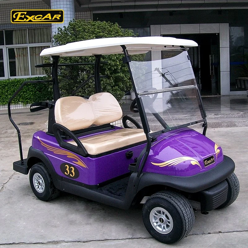 2 Seater Electric Golf Cart Solar Golf Buggy Cart Electric Vehicle