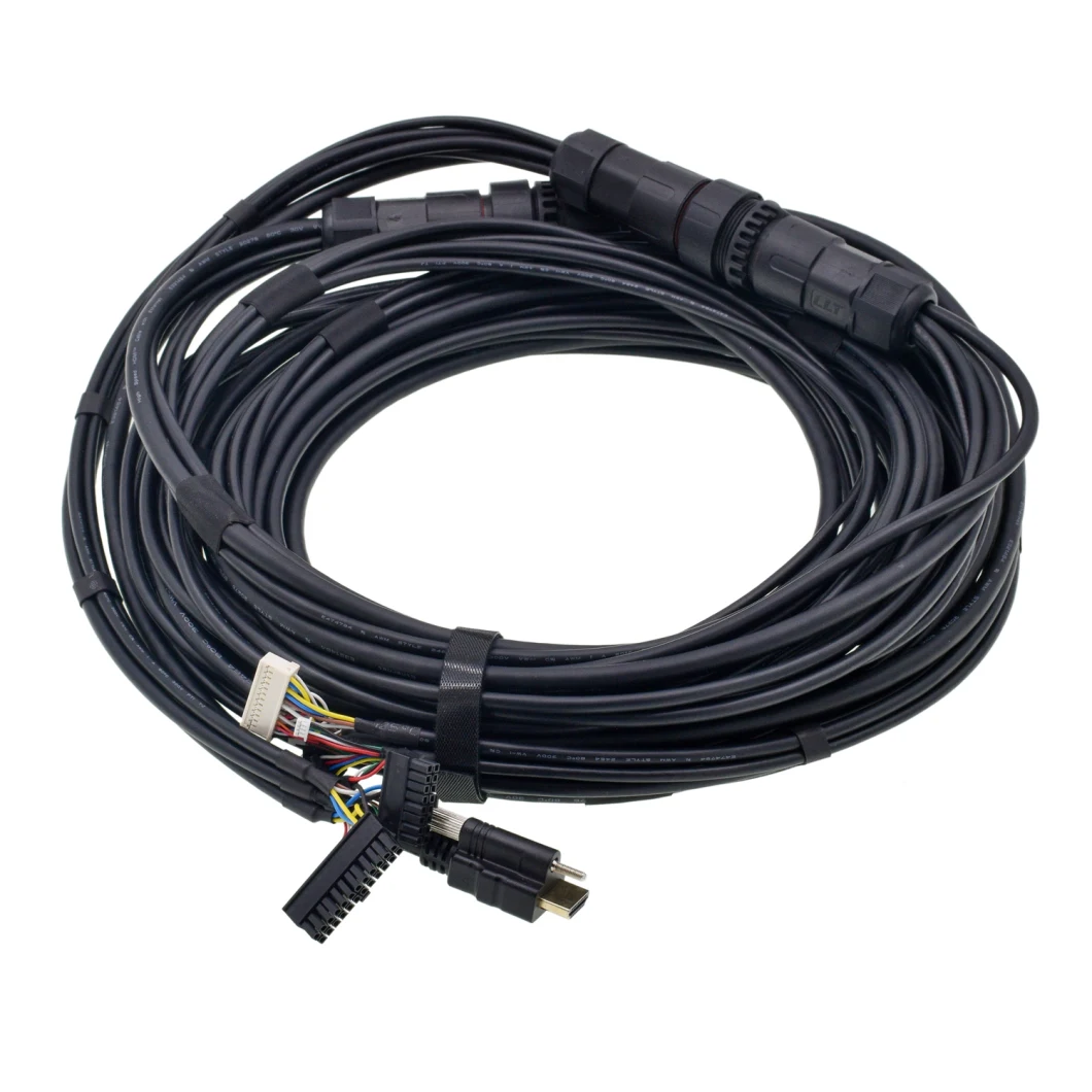 Automotive Medical Electronic Wire Harness Wiring Harness Cable Wire Assembly with ISO13485 IATF16949 Approved