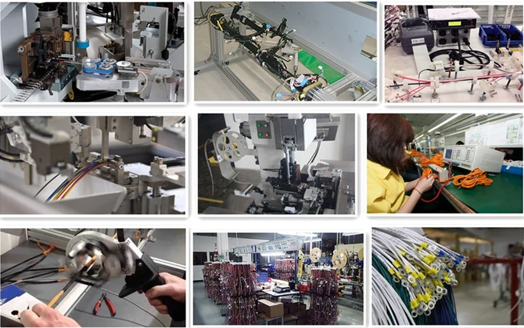 Automotive Wire Cable & Cable Assembly, Wire Harness Assembly Using Jst Molex Housing Contact