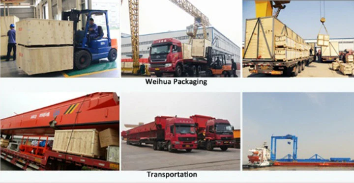 Weihua CD1/MD1 Wire Rope Electric Hoist for Overhead Crane 5 Ton