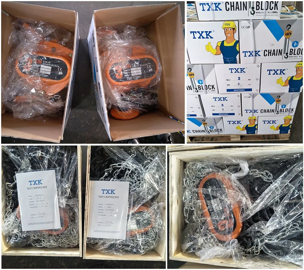 Txk Brand 10t 5m Hand Pulling Hoist with Ce Certification