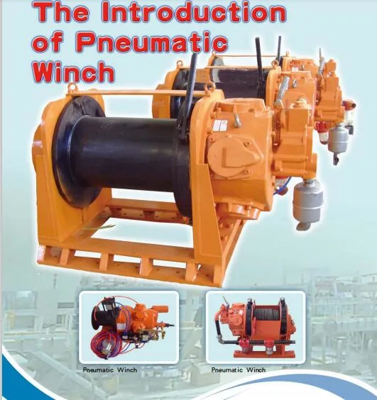 Popular Pneumatic Air Powered Chain Hoist 1ton Lifting Height 6m for Chemical Industry