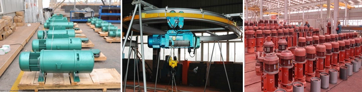 Weihua Ce ISO Certificate Cable Rope Hoists
