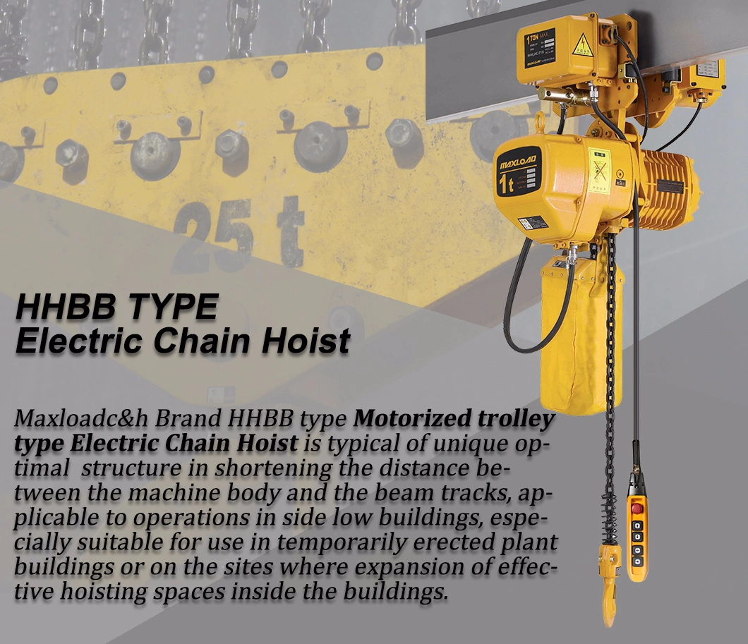 220V/380V Electric Hoist, Providing Electric Chain Hoist/Chain Hoist/Mini Hoist/Electric Winch
