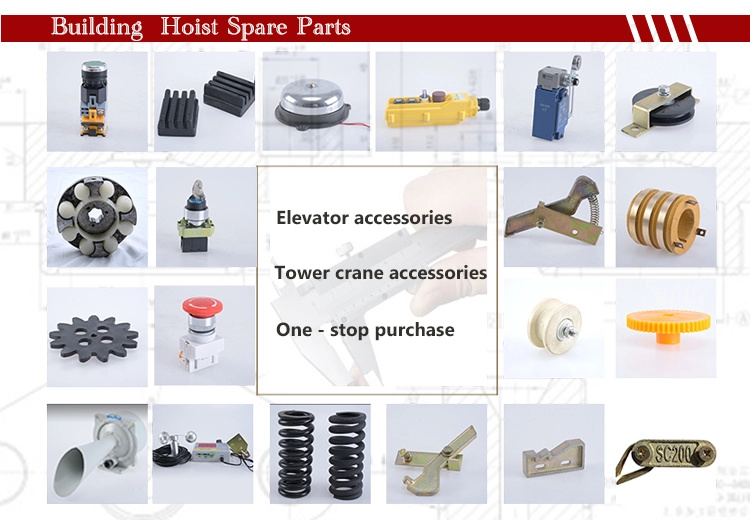 OEM Customized High Precision Worm and Worm Gear Used for Construction Hoist Auto Parts