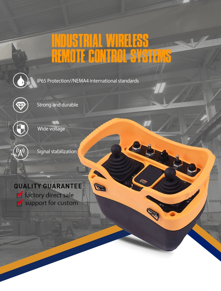 Lcc Q5000 Two Joysticks 220V Manufacturer Overhead Crane Radio Wireless Remote Control Switch on off Switch