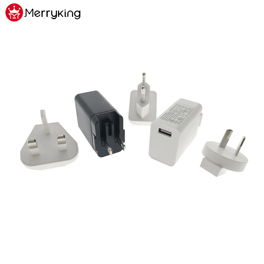 Interchangeable USB Travel Charger 5V 2500mA Dual USB Power Charger