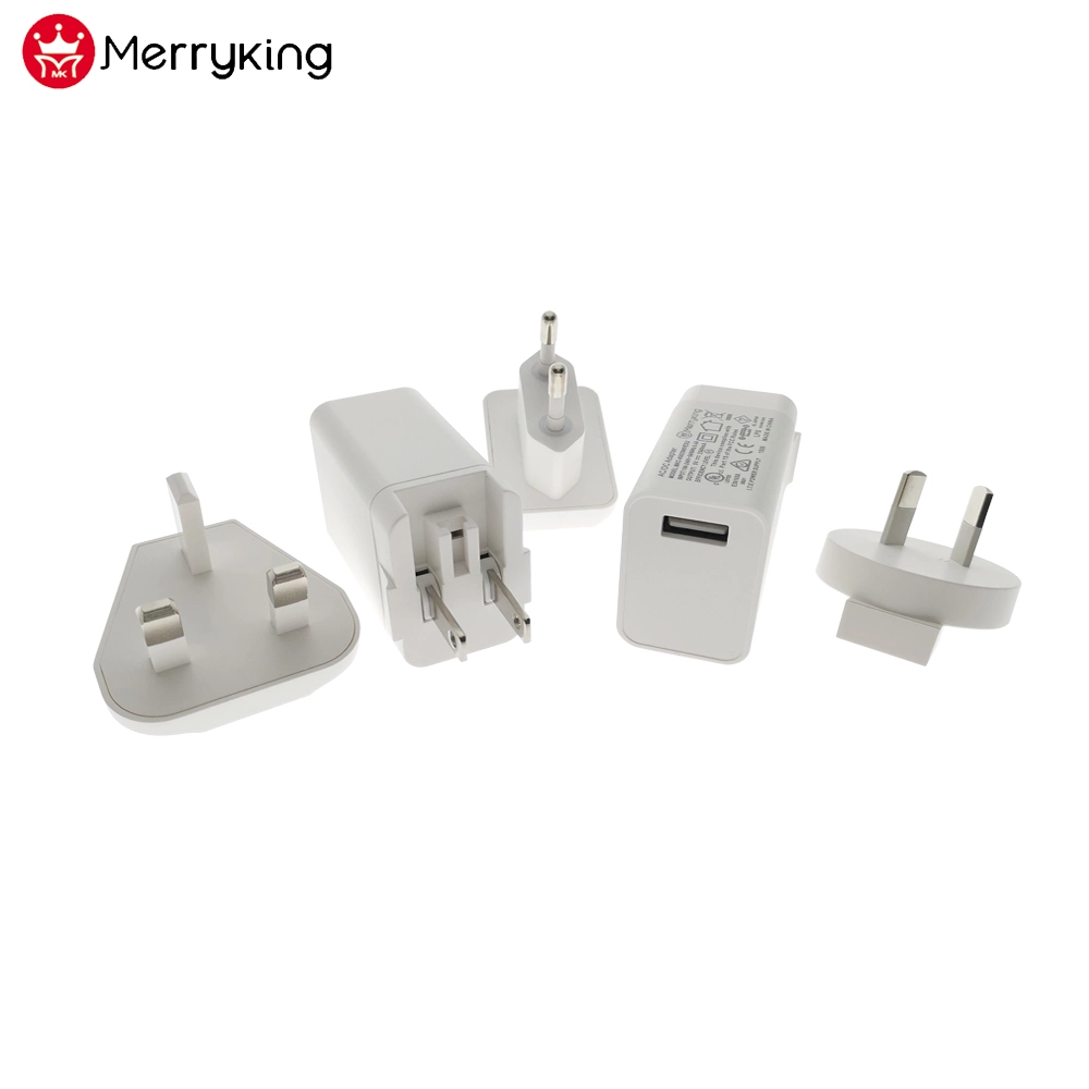 Interchangeable USB Travel Charger 5V 2500mA Dual USB Power Charger