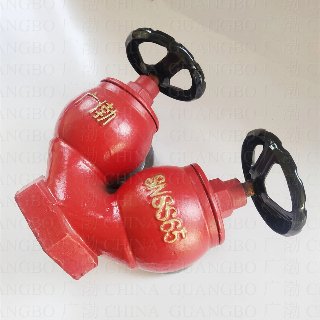 Snssw65-I Two Way Double-Valve Double-Outlet Pressure Reducing and Pressure Stabilizing Indoor Fire Hydrant