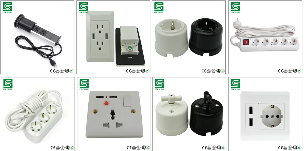 British Standard Electrical Wall Switch and Socket with USB Outlet