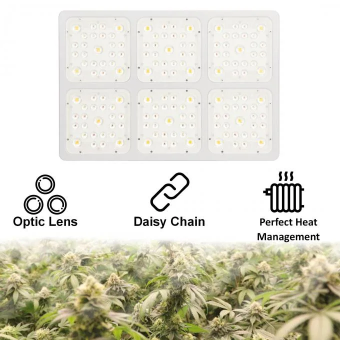 Optical Lens 600W Indoor COB LED Grow Light Panel with Double Switches