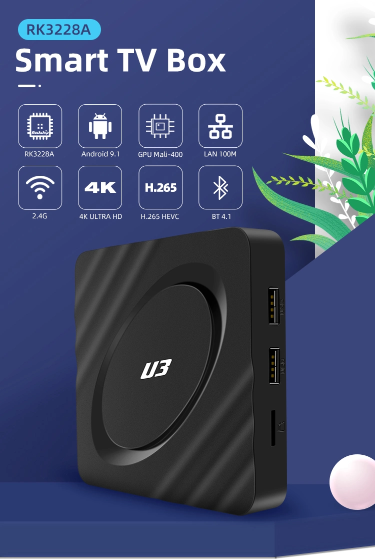 Xangshi Factory Top Selling 2+16g 2.4GHz WiFi 4K 32bit 2+16g Set Top Box