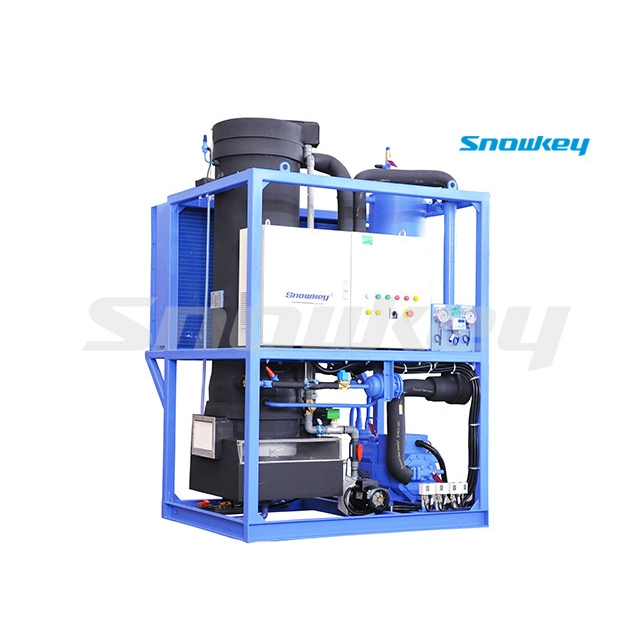 Snowkey Wholesale Tube Ice Machine with Ice Bin and PLC System