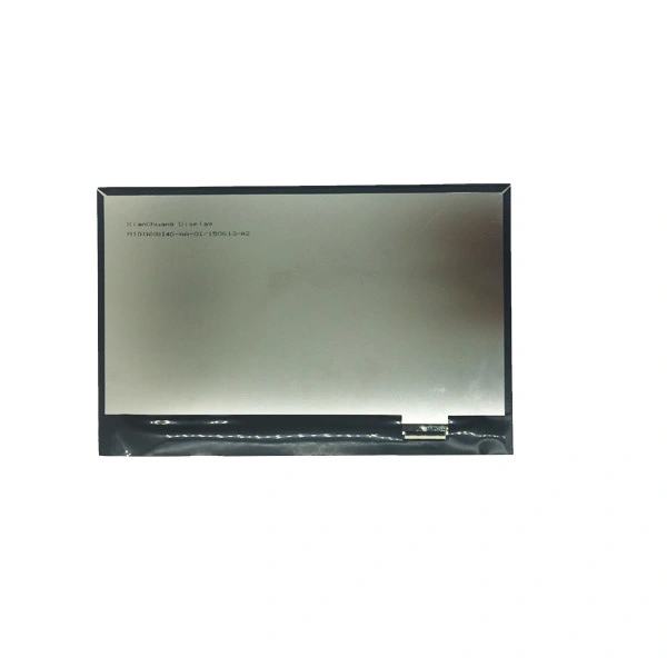 10.1 HMI 1024X600pixel TFT LCD Monitor Display