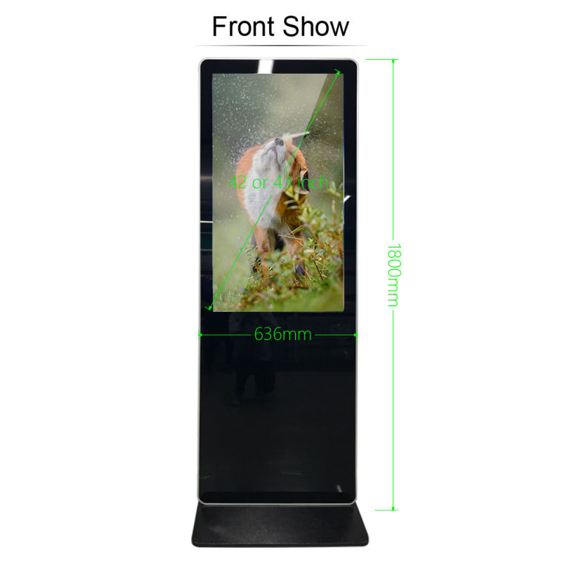 Manufacturing Fashion Design 43" Advertising Touch Screen LCD Display Kiosk