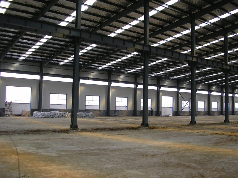 Mozambique Precast Steel Structure Poultry House