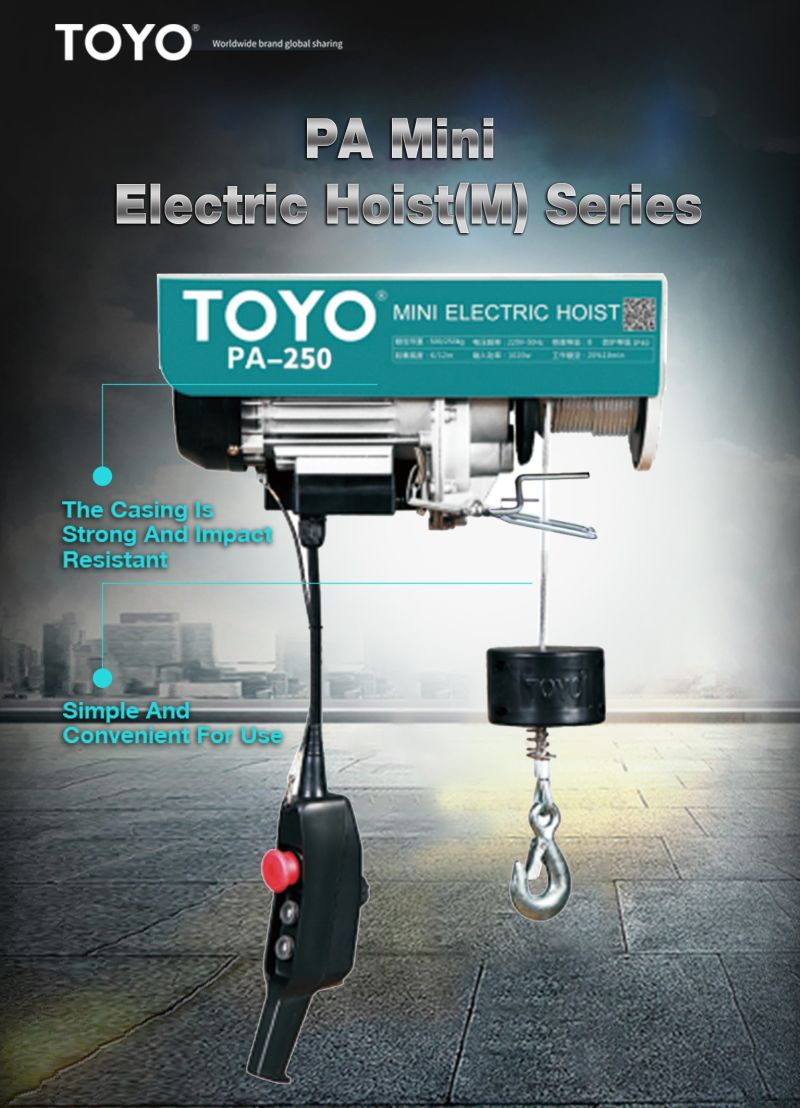 Toyo Home Use Small Construction Toll PA200 300 400 500 1000 1200 Kg Mini Electric Hoist