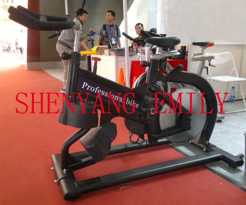 2019 Innovation Realryder Spinning Bike / Indoor Cycling (SK-A6800)