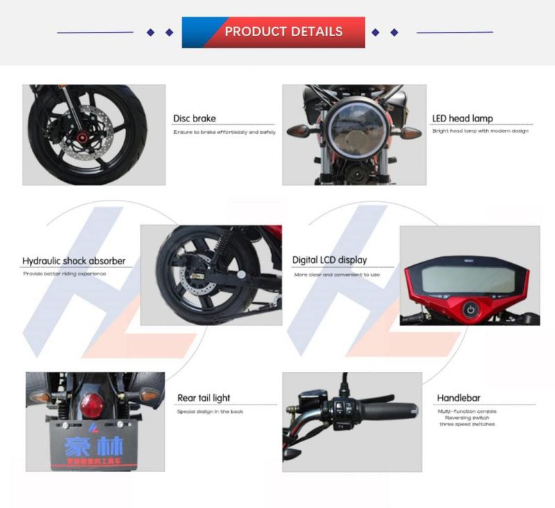 Direct Selling Adult Cheaper 17 Inch Electric Motorcycle/Electric Vehicle/Electric Bike for Sale