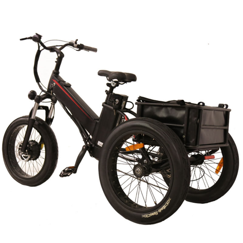 24 Electric Tricycle Electric Handicap Tricycle Electric Tricycle Enclosed