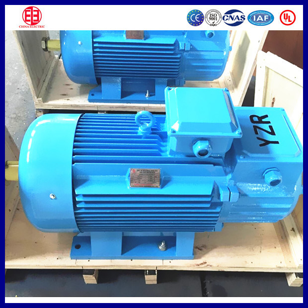 Induction Motor Type and 380V AC Voltage Three Phase Electric AC Motor