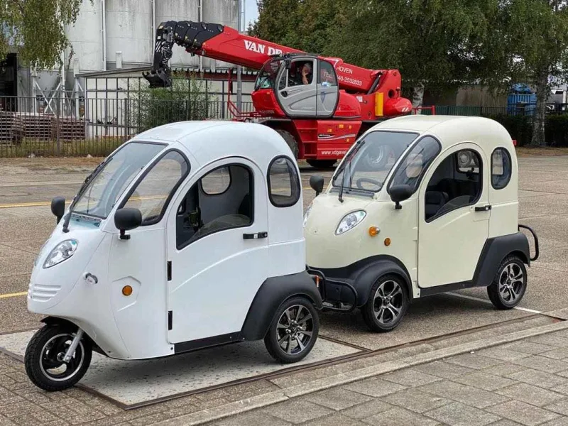 Mini Automobile Electric Vehicles for Adults for Sale