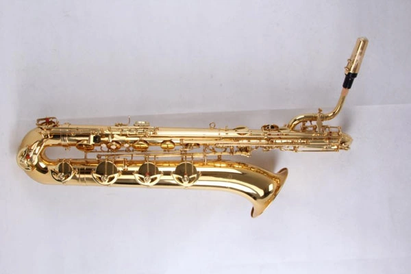 Saxophone/ Baritone Saxophone / Saxophone (SAB-L)