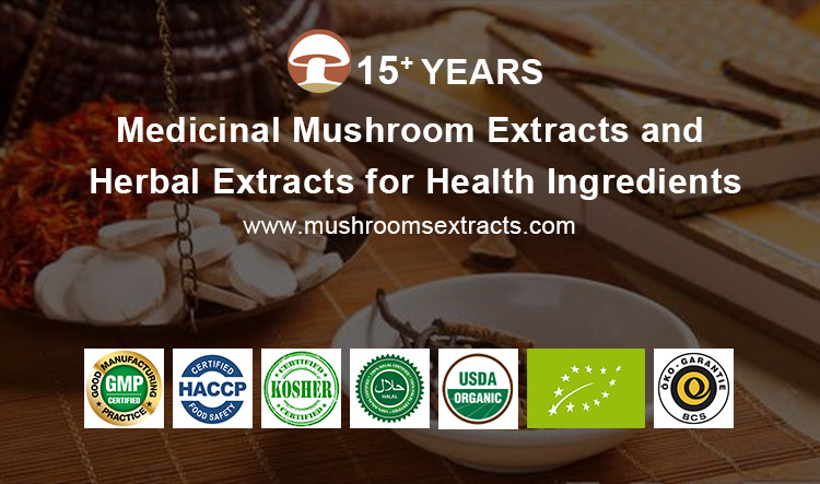 Natural Extract Shiitake Mushroom Powder for Mushroom Soap