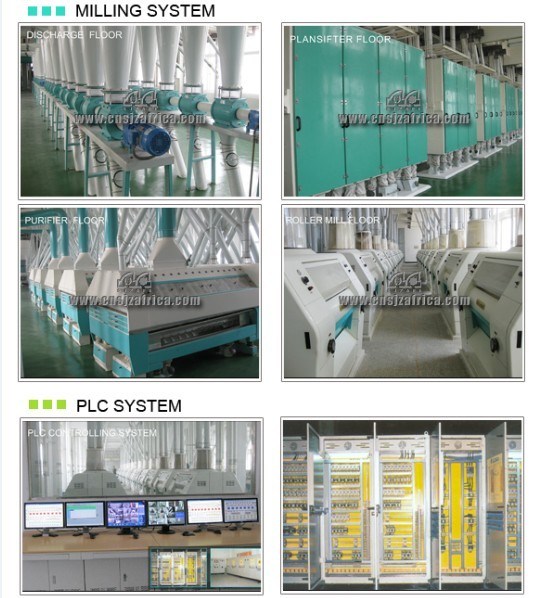 Wonderful Electric PLC Control Wheat Flour Milling Processing Line