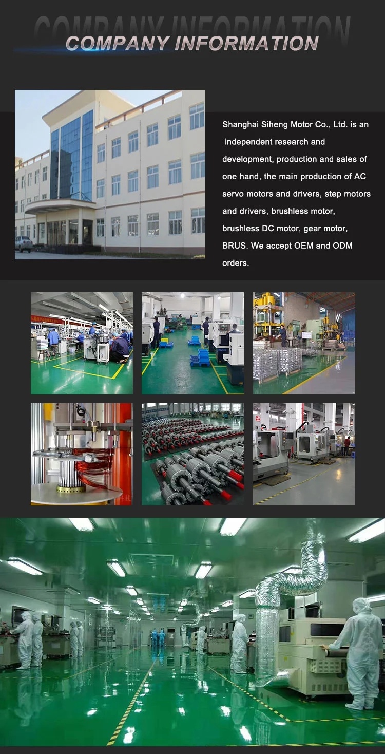 Chinese Factory 1.2kw AC Servo Motor and Driver 220V 3000rpm 80mm 4nm DC Motor, Servo Motor and Driver with Brake
