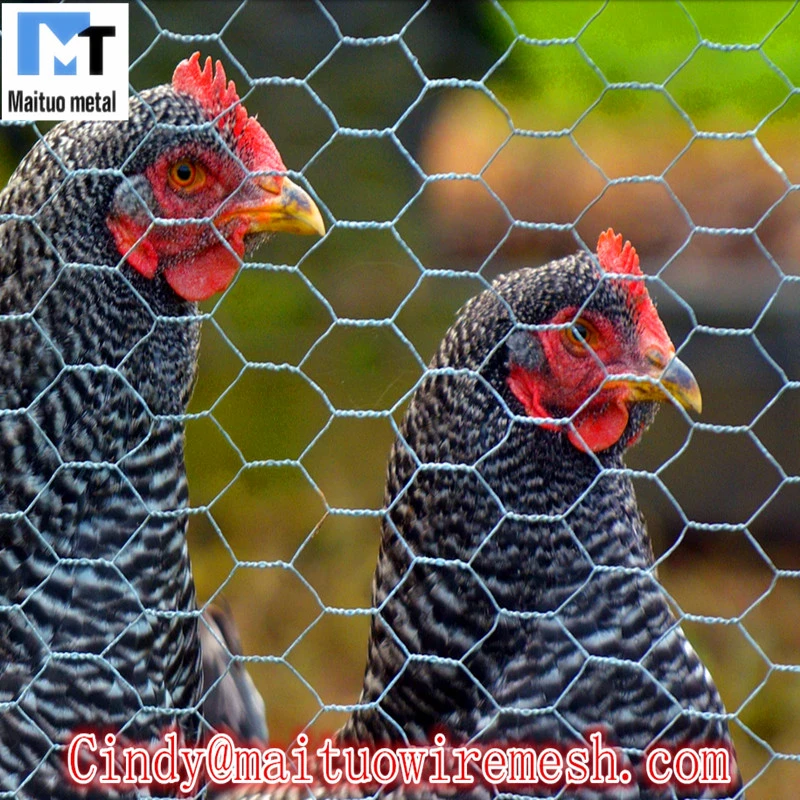 Chicken Wire Netting 1" 1/2" 3/4"