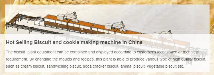 High Reputation and High Efficiency Biscuit Machinery with PLC Controlled