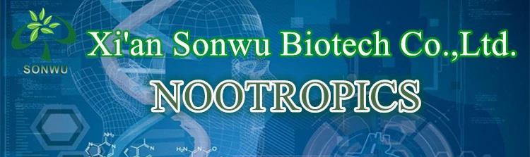 Sonwu Supply Nootropics Nsi-189 Phosphate Nsi 189