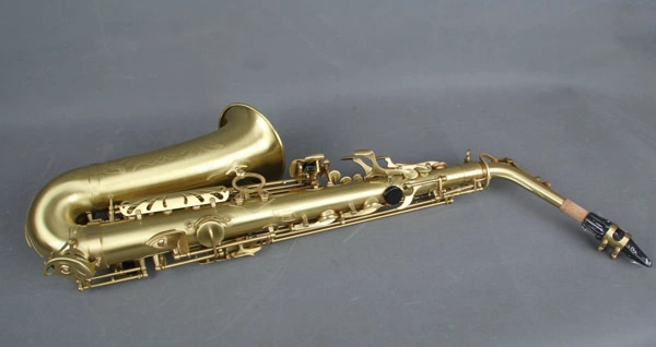 Alto Saxophone (Canex SAA800-AG)