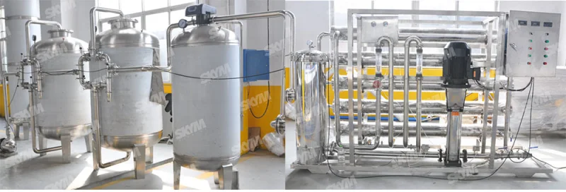 RO Water Filter with PLC Control for Pharmaceutical Industry