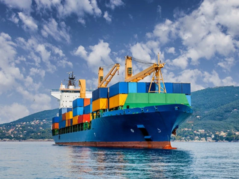 Shipping Agent From Nansha to Rotterdam Sea Freight