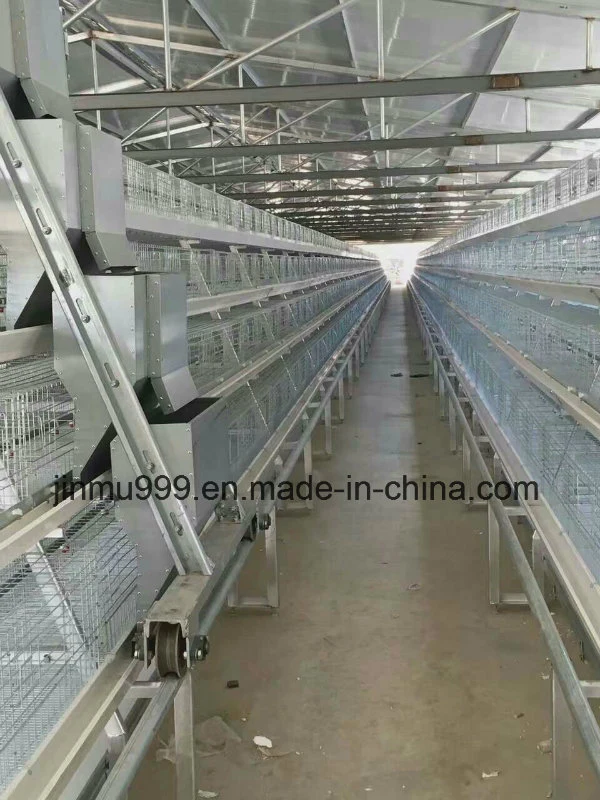 Large-Scale Farm Used Poultry Battery Chicken Cage for Sale