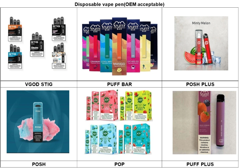 Hot Sale Electronic Hookah Disposable Ecig 500 Puffs Healthy Portable Colored Shisha Pen