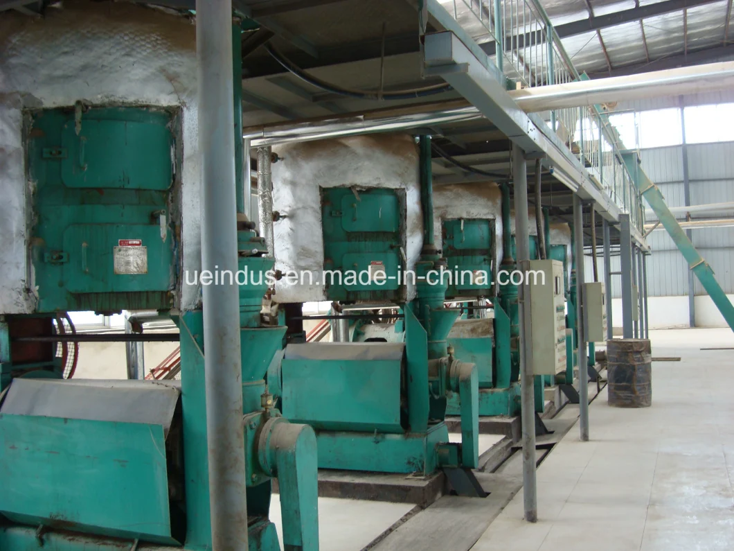 Large Scale Vegetable Oil Mill for Turnkey Project 30/50/50mt/Day