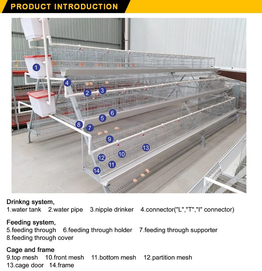 Battery Layer Chicken Cage with Manual Feeding Egg Collecting