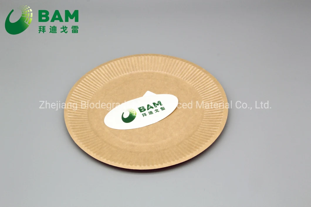 Fully Biodegradable Dividing Compostable Sugarcane Plant Fiber Bakery Takeaway Food Package Plate for Dessert Cake