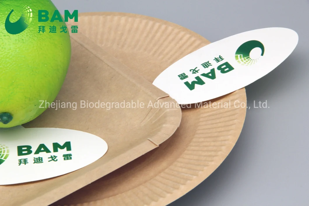 Fully Biodegradable Dividing Compostable Sugarcane Plant Fiber Bakery Takeaway Food Package Plate for Dessert Cake
