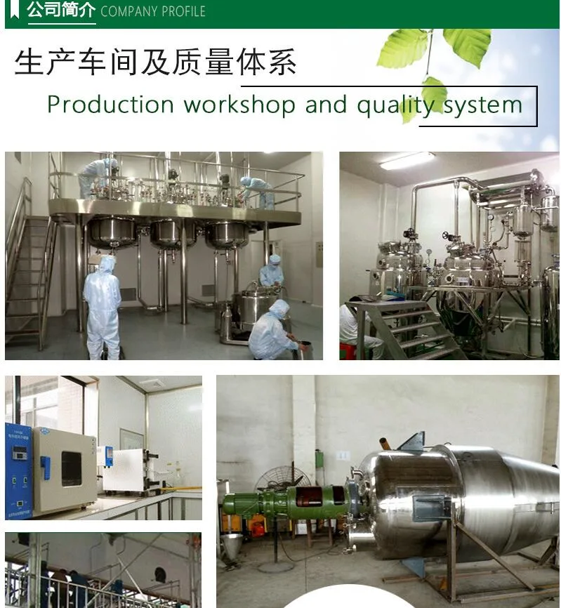 Manufacturer Natural Zea Mays Corn Silk Extract / Corn Silk Extract