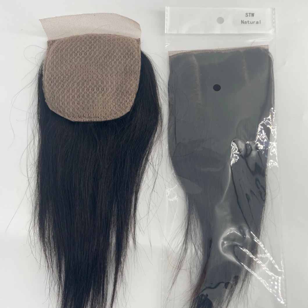 Remy Hair with Closure Straight Bundles with Closure 10A Silk Closure Transparent Silk Closure