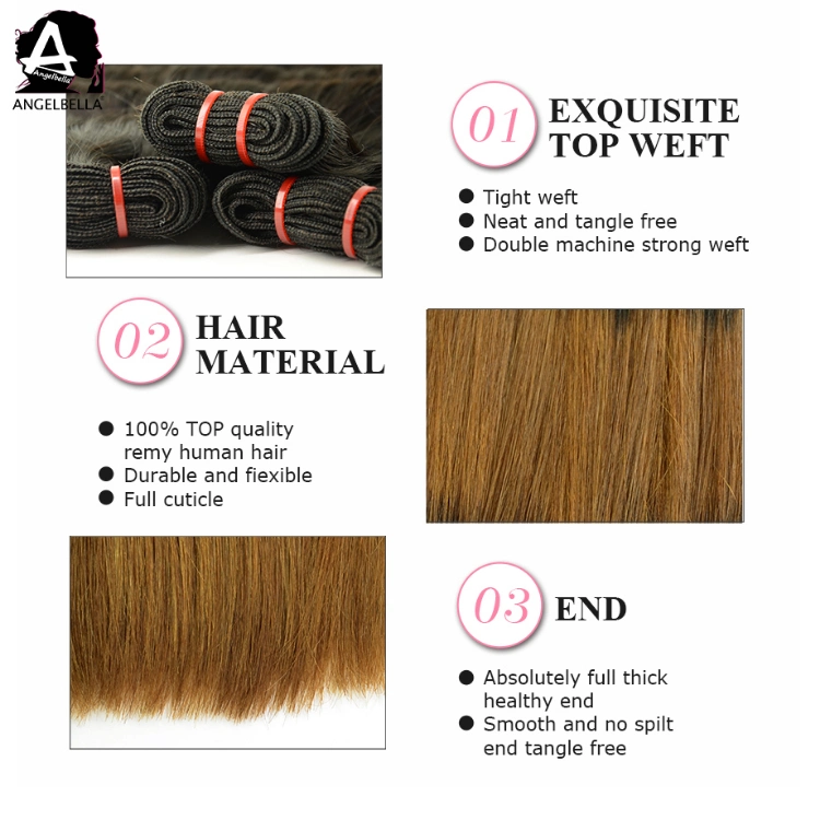 Angelbella Great Ombre Hair Super Double Drawn Silk Straight Weft Remy Hair Bundles