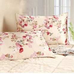 100% Mulberry Silk Pillow Case