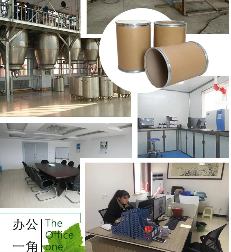Manufacturer Natural Zea Mays Corn Silk Extract / Corn Silk Extract